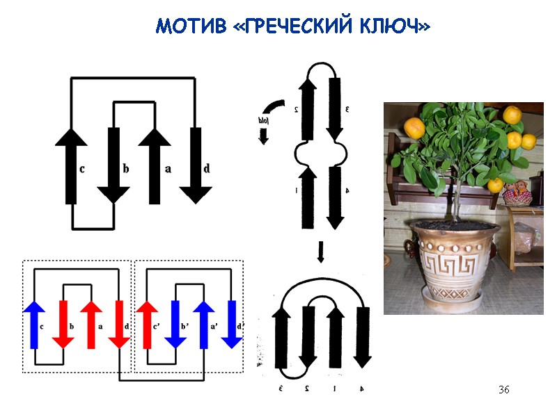 36 МОТИВ «ГРЕЧЕСКИЙ КЛЮЧ»